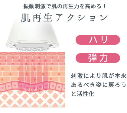 振動刺激による肌再生アクションのイメージ